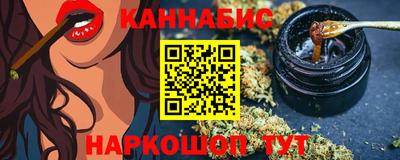 индика Нальчик