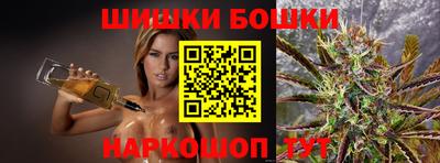 индика Нальчик