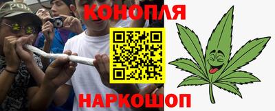 индика Нальчик