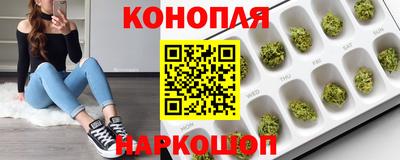 индика Нальчик