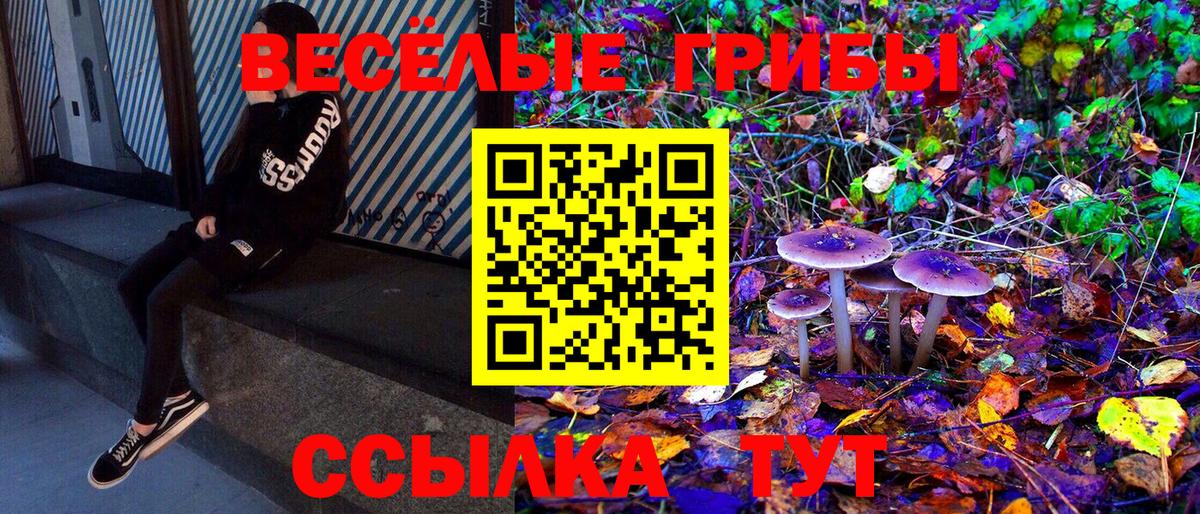 Псилоцибиновые грибы Psilocybine cubensis Ревда