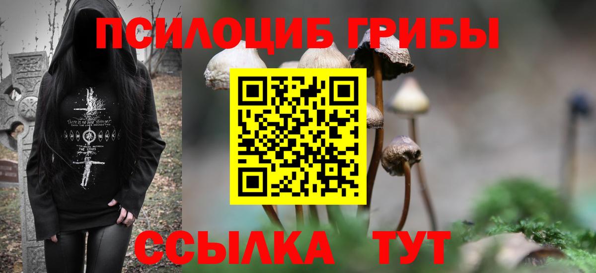 Ревда  Галлюциногенные грибы мицелий  Вход с VPN 